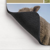 Schaap Foto Collage Op Maat Muismat (Hoek)
