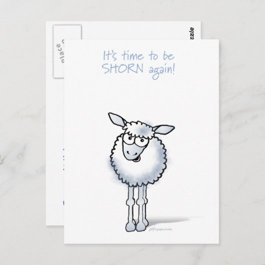 Schaap: Het is tijd om weer geschoren te worden! Briefkaart (Voorkant / Achterkant)
