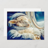 Schaap in astronaut pak zwevend in de ruimte feestdagenkaart (Voorkant / Achterkant)