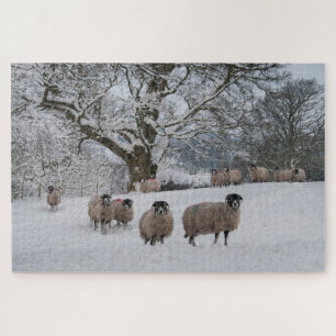 Schaap in de sneeuw   legpuzzel