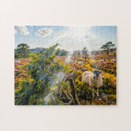 Schaap in heide met jeneverbes legpuzzel