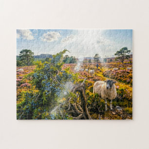 Schaap in heide met jeneverbes legpuzzel