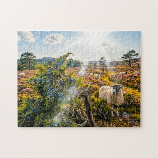 Schaap in heide met jeneverbes legpuzzel (Horizontaal)