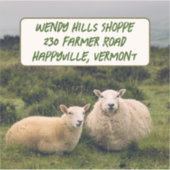 Schaap in veld aangepaste grote Sticker met tekst (Voorkant)