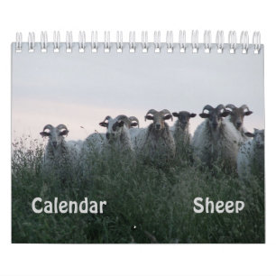 Schaap Kalender