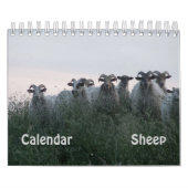 Schaap Kalender (Hoes)