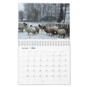 Schaap Kalender (Jan 2026)