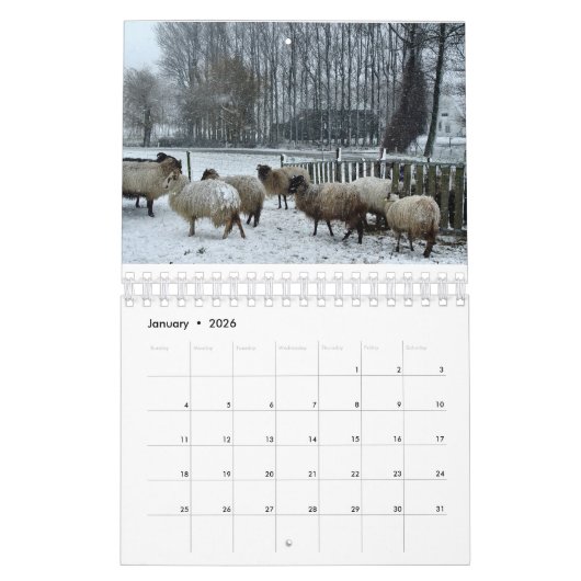 Schaap Kalender (Jan 2026)