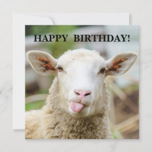 Schaap laat tong zien feestdagenkaart