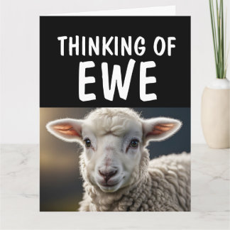 SCHAAP LAM FUNNY PUN HALLO Wenskaarten Kaart