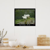 Schaap & Lam zegt Bèè, Bèè (Poster) Poster (Keuken)