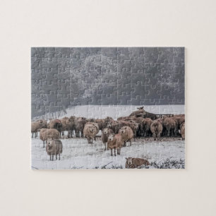 Schaap Legpuzzel