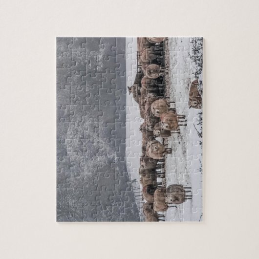 Schaap Legpuzzel (Verticaal)