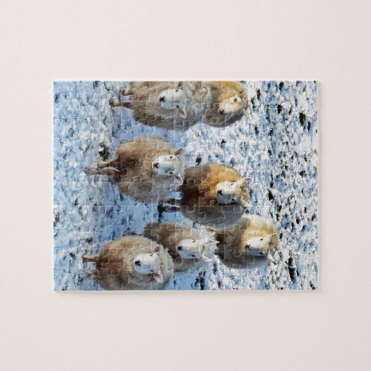 Schaap Legpuzzel (Horizontaal)