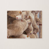 Schaap Legpuzzel (Horizontaal)