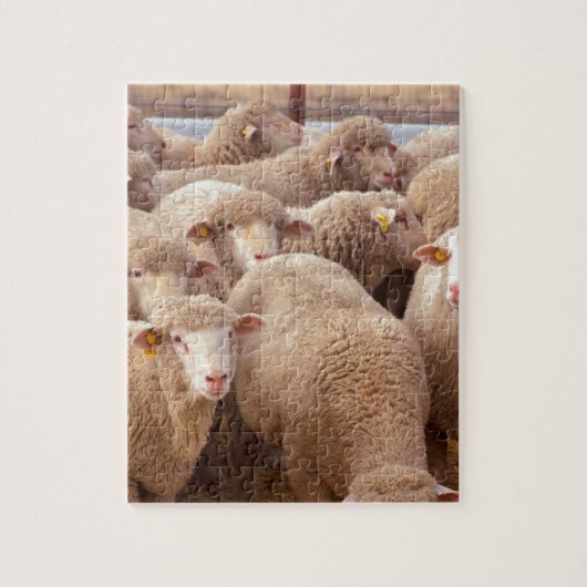 Schaap Legpuzzel (Verticaal)