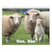 Schaap Liefhebbers Kalender, Schapenfoto's Kalender (Hoes)