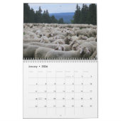 Schaap Liefhebbers Kalender, Schapenfoto's Kalender (Jan 2026)
