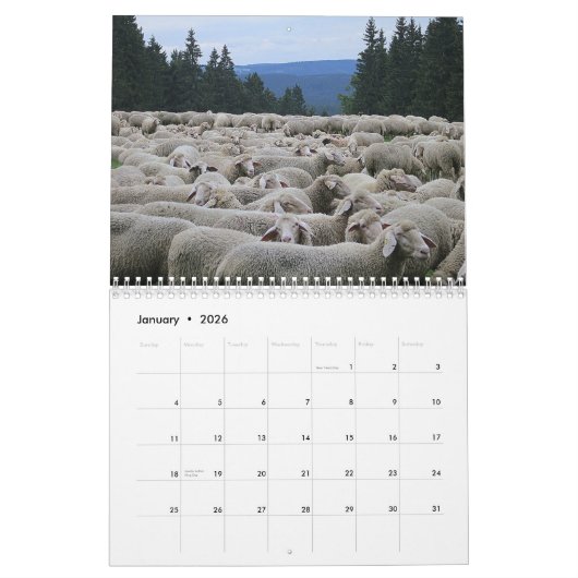 Schaap Liefhebbers Kalender, Schapenfoto's Kalender (Jan 2026)
