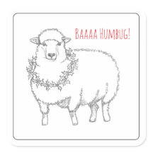 Schaap Met Hulst