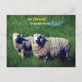Schaap met lam in graswei briefkaart