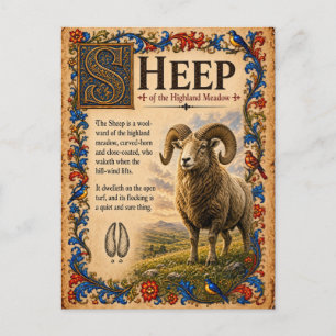 Schaap, Middeleeuwse Bestiarium Kunst Briefkaart
