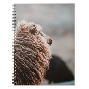 SCHAAP NOTITIEBOEK