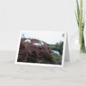 Schaap op Berg Kaart (Voorkant)