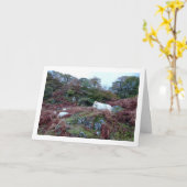 Schaap op Berg Kaart (Gele Bloem)