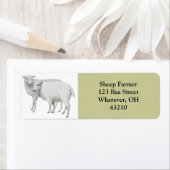 Schaap Paar  Etiket (Insitu)