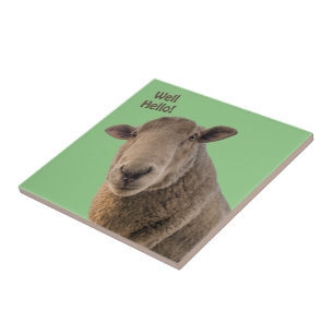 Schaap Tegeltje