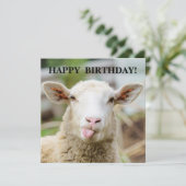 Schaap toont tong feestdagenkaart (Staand voorkant)