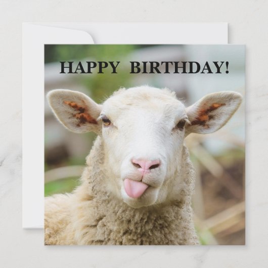 Schaap toont tong feestdagenkaart (Voorkant)