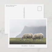 Schaap Uttakleiv Lofoten-eilanden Briefkaart (Voorkant / Achterkant)