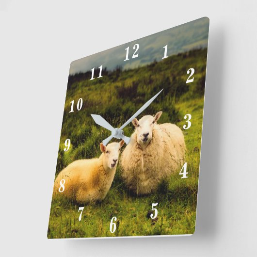 Schaap Vierkante Klok (Hoek)