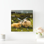 Schaap Vierkante Klok (Huis)