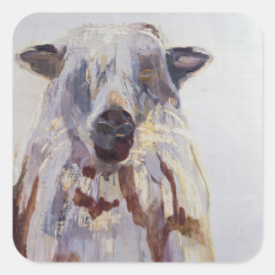 Schaap Vierkante Sticker