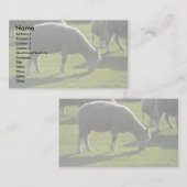 Schaap Visitekaartje (Voorkant / Achterkant)