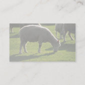 Schaap Visitekaartje (Achterkant)