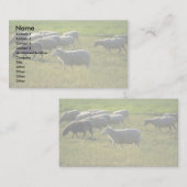 Schaap Visitekaartje (Voorkant / Achterkant)