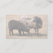 Schaap Visitekaartje (Achterkant)