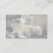 Schaap Visitekaartje (Achterkant)