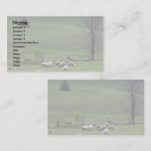 Schaap Visitekaartje (Voorkant / Achterkant)