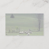 Schaap Visitekaartje (Achterkant)