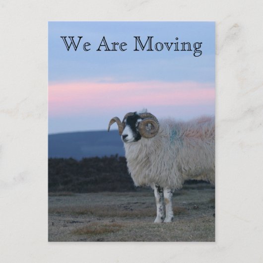 Schaap, wij verplaatsen Kaart (Voorkant)
