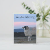 Schaap, wij verplaatsen Kaart (Staand voorkant)