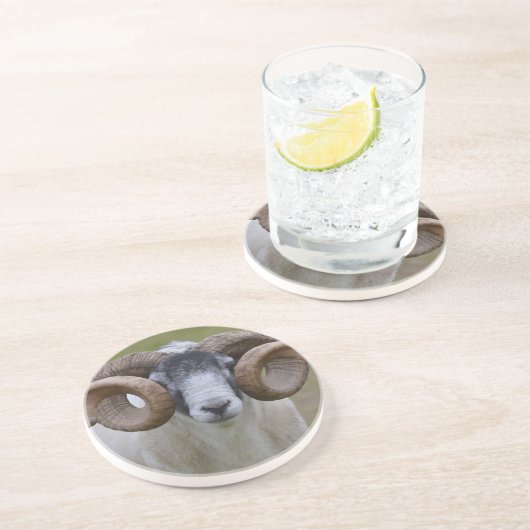 Schaap Zandsteen Onderzetter (Zijkant)