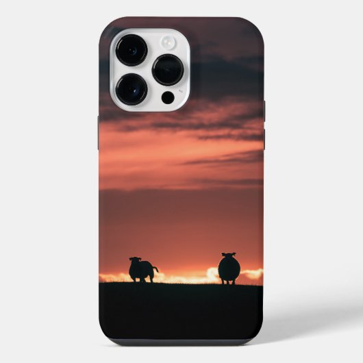 Schaap Zonsondergang Natuur Foto iPhone Hoesje (Achterkant)