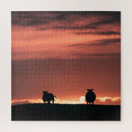 Schaap Zonsondergang Natuur Foto Legpuzzel (Verticaal)