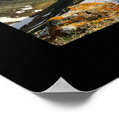Schaapberg in de Kluane Ranges Poster (Hoek)